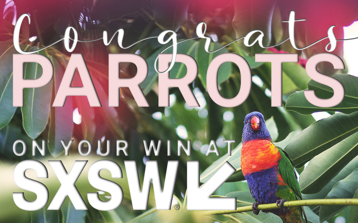 Congrats Parrots on your win at SXSW!