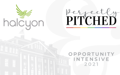 Halcyon x Perfectly Pitched 2021