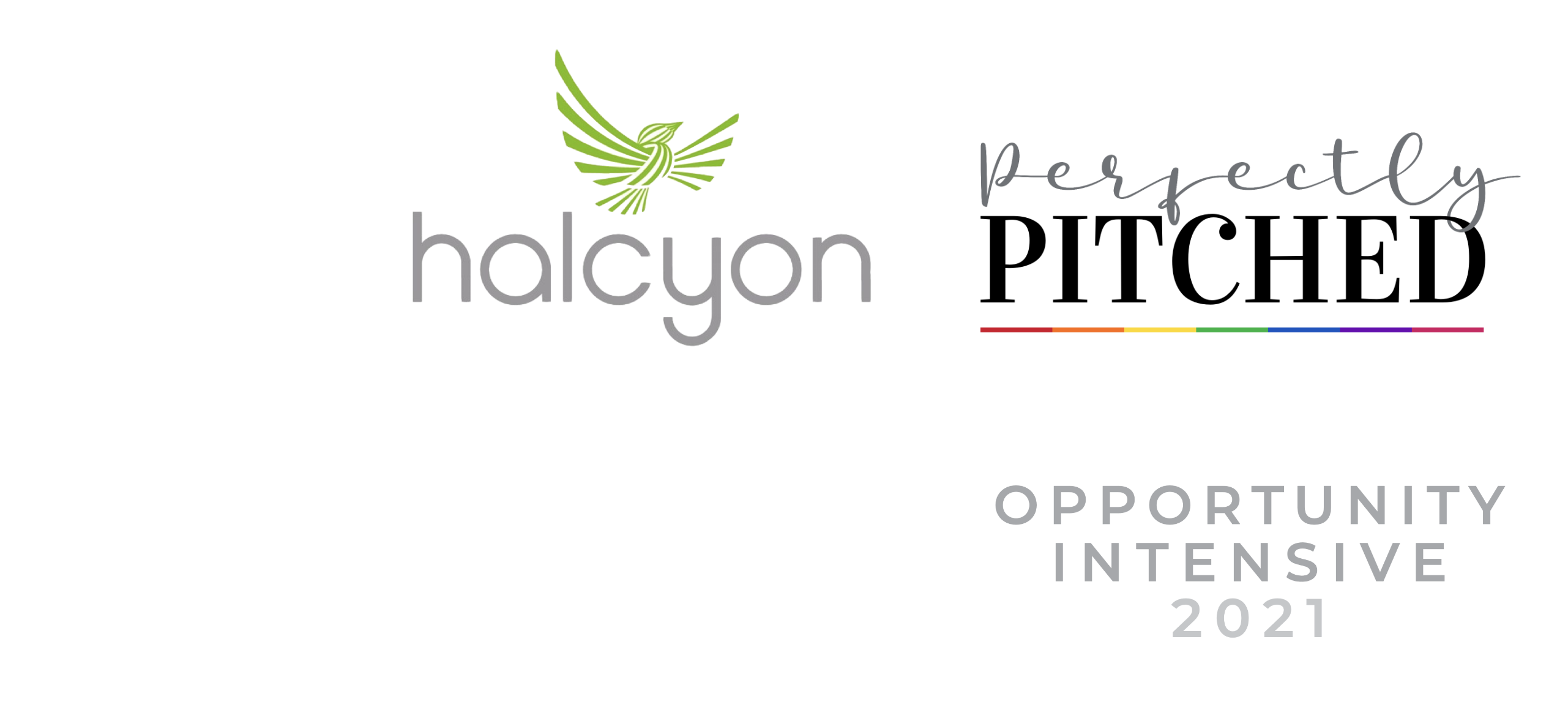 Halcyon Incubator & Perfectly Pitched Opportunity Intensive 2021